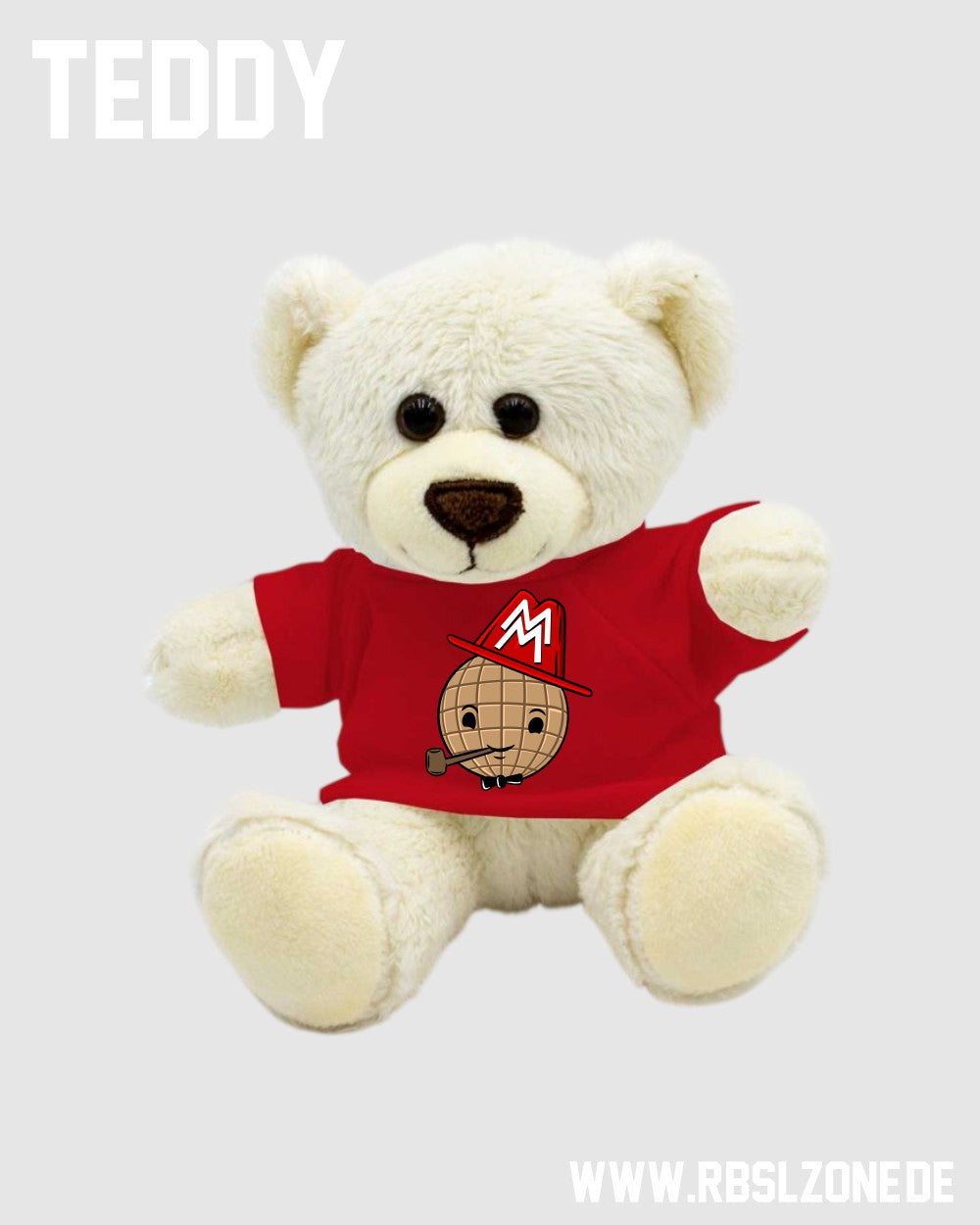 Plüschbär